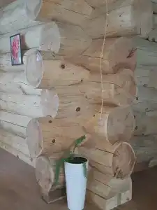 Манжерокский - 4