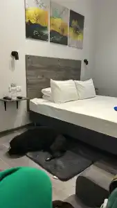 Кают-компания - 18