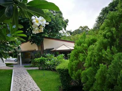 On The Hill Karon Resort - 49