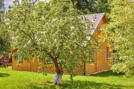 Шаробыки гостиничный комплекс - 18