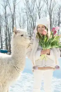 Пара Альпак - 32