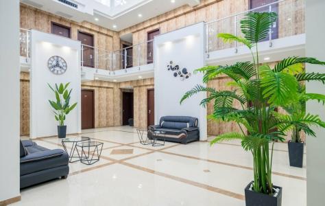 Aura в Дигоми - 17