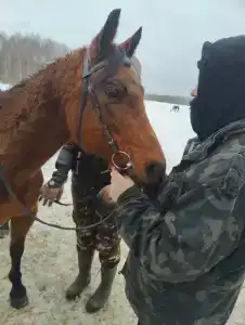 Бородино - 70