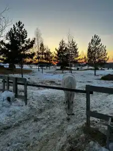 Кольчуга - 23