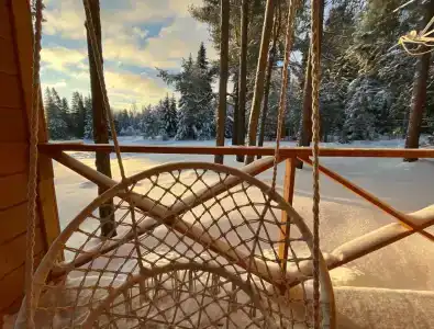 Чайка - 22