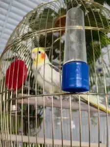 База отдыха Palace Resort Венеция - 98