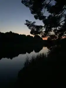 Серебряно - 38