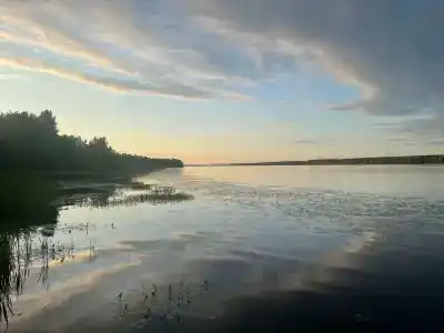 Волна - 82
