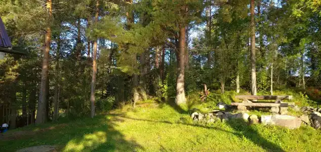 Робинзон - 31