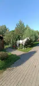 Варваровка - 44