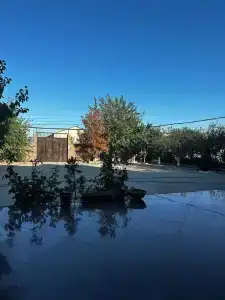 Золотые Пески - 39