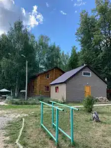 Чайка - 19
