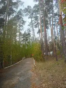 Прометей - 41