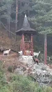 Деревня активного отдыха - 3