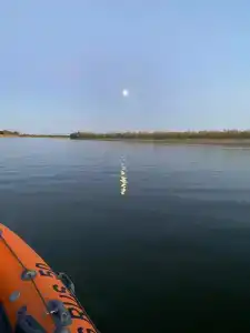 Лес и Рыба - 51