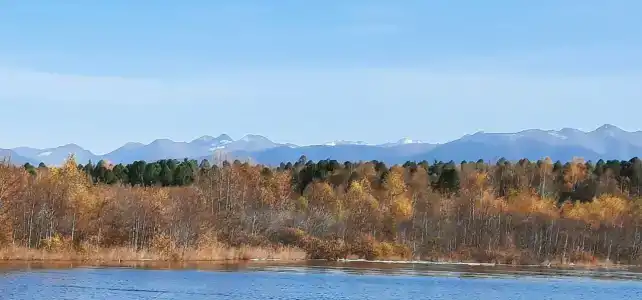 Выдринка - 4