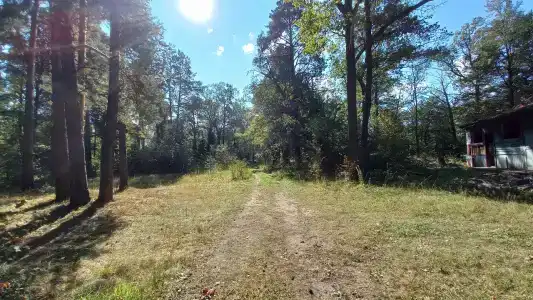 Улыбышево - 82