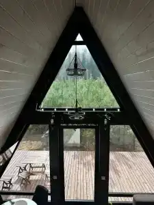 Forest camp - 40