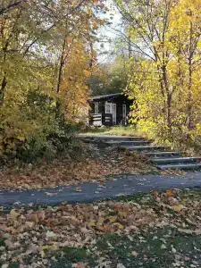 Зелёный берег - 10
