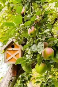 Скворечник - 13