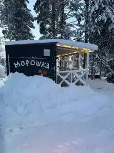 Медвежья Лапа - 40