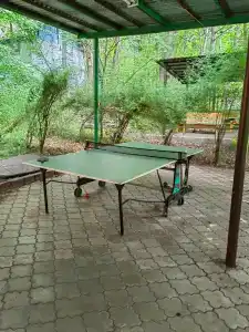 Дубрава - 9