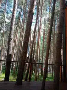 М5 Рент Хаус - 65