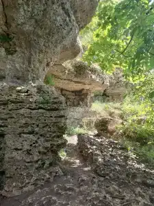 Аргамач - 25