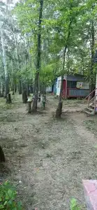 Тополя - 66