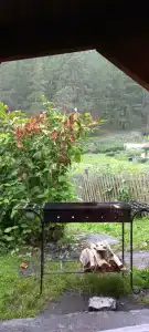 Заречье у Тырышкиных - 1