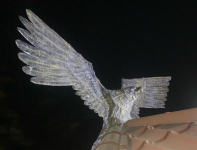 Аквила - 53