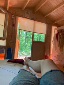 Эколоджия - 60