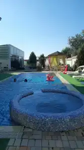 Золотой Фазан - 26
