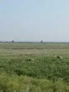Парк Киммерия - 18