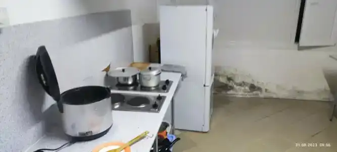 Murmansk Discovery - Discovery - 53