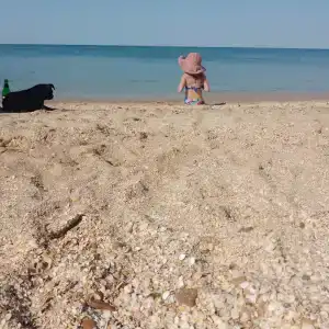 База отдыха у Петровича - 65