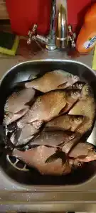 Рыболовный клуб на Рыбинке в Селехово - 9