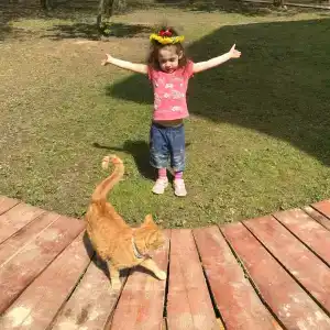 Гостевая Изба на Истре - 69