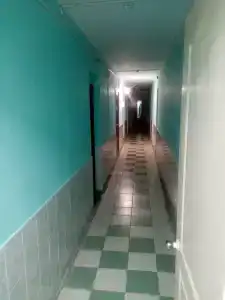 Багира - 14