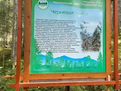 Таловский лог - 32