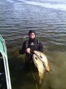 ПЛЕСъ - 31