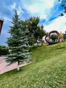 Layner Complex - 28