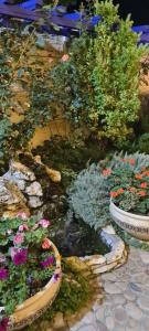 на Черноморской - 33