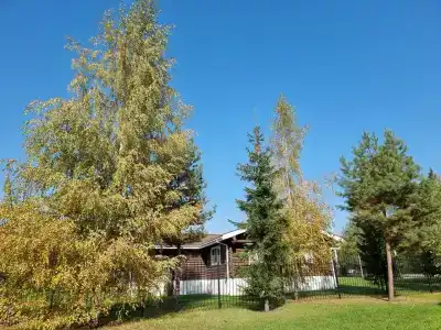 Усадьба Александрово - 83