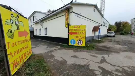 Ленивый жираф - 13