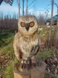 Лапландская деревня - 98