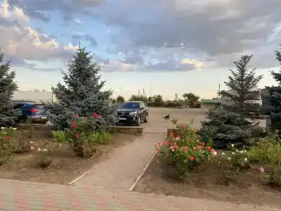 Придорожная - 2