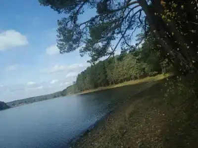 Серебряное копытце - 7