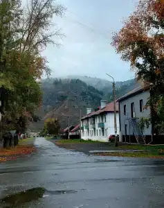 Кедр - 3