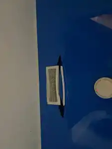 Трефен Белорусская - 54